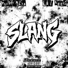SLANG