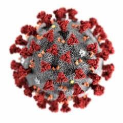 The End Of All Things (Live)