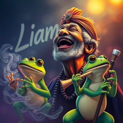 Liam's Frog Music