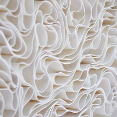 𝙋𝙇𝘼𝙉𝙀𝙏𝙎 🪐