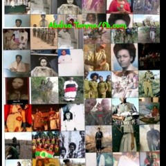HWBO - 6 Tummee_Album_-_(Cush_Africa_Oromo_Music)-mp3