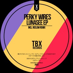 Perky Wires - No More Fears (Original Mix)