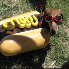 Glizzy Boys (Prod.Xeeflo)ft.yvng Zo (snippet) :)