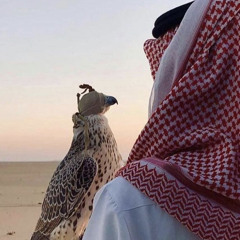 تاق قلبي - محمد العويسي