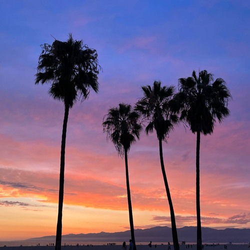 Sunset Sessions @ The Waterfront Venice