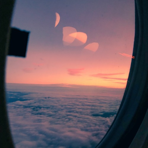 Flight