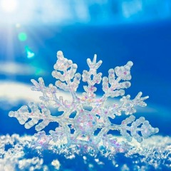 Snowflakes In Moonlight