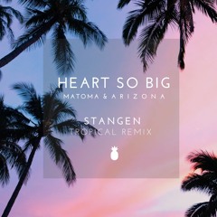 Matoma & A R I Z O NA - Heart So Big (Tropical Remix)