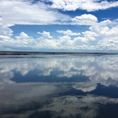 Emptiness And Making A Better Story