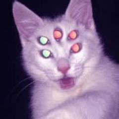 Crystallized,,!!!.
