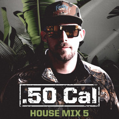 House mix 5