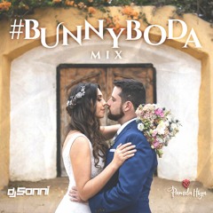 BunnyBoda Mix (feat. Pamela Higa WP)