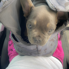 Beautiful Scandinavian Eyes