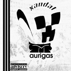 xandal 2020
