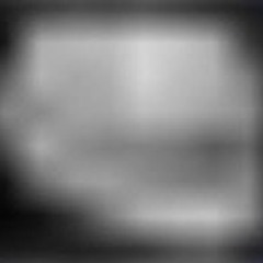 cacophony of stupidity