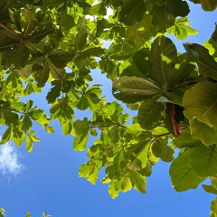 18 Feels Like May 2025