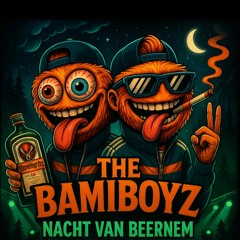 Set Nacht van Beernem