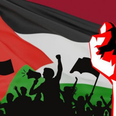 Shanti-Lii  - 🇵🇸 Lemme Mix For Palestine 🇵🇸