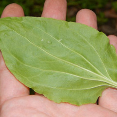 лоу фай джаз