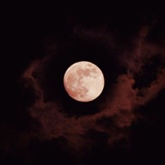 opening vcr (manifesto world tour) - ENHYPEN