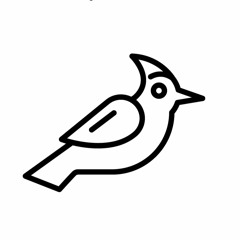 Clockwork Sessions - 4 P.M. Smooth Camel Ride