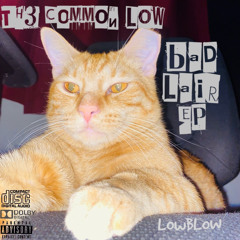 LoW~bLoW