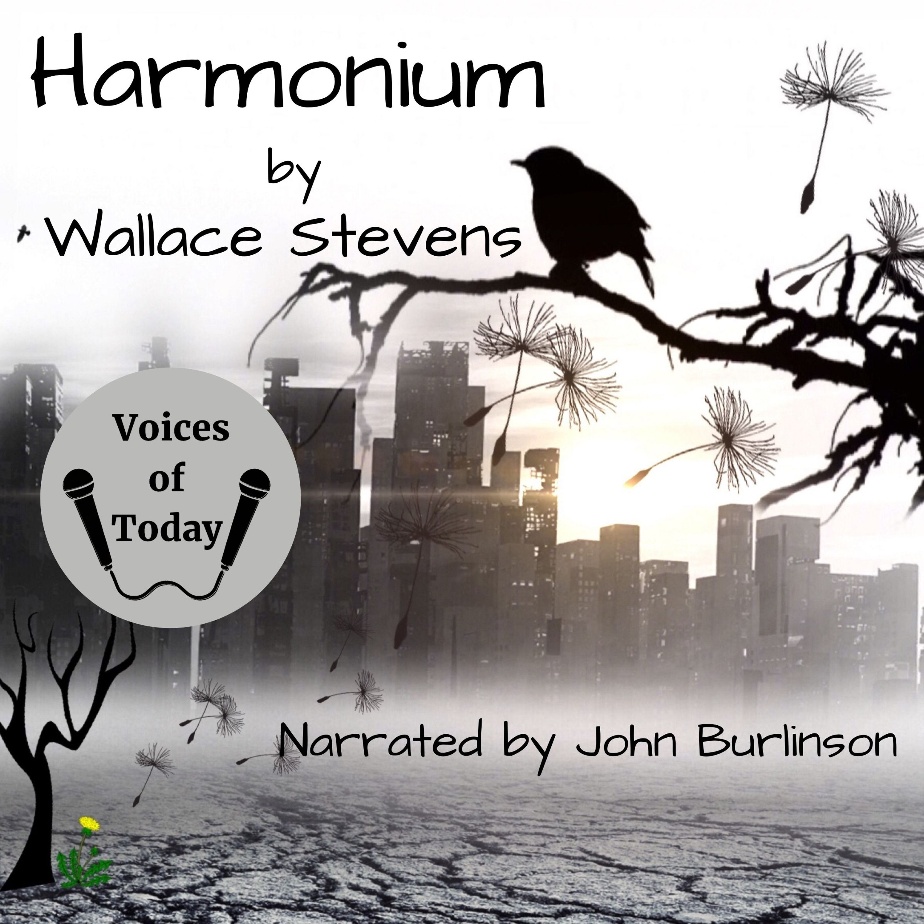 Voices of Today