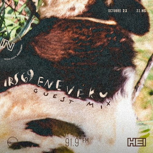 IRS 69. Eneveku Guest Mix