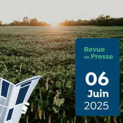 Revue de Presse Capitaine Carbone #167 - 06 juin 2025