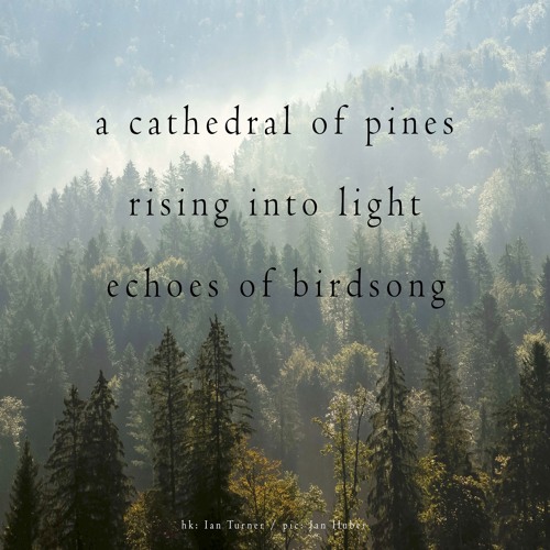 halF cathedraL [naviarhaiku345]