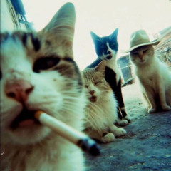 Parlay (prod. dosidos)