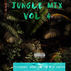 Jungle Mix Vol. 4 #HipHop #R&B