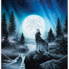 Wolf Castle - You Make My Gravity (pauseplay mashup)