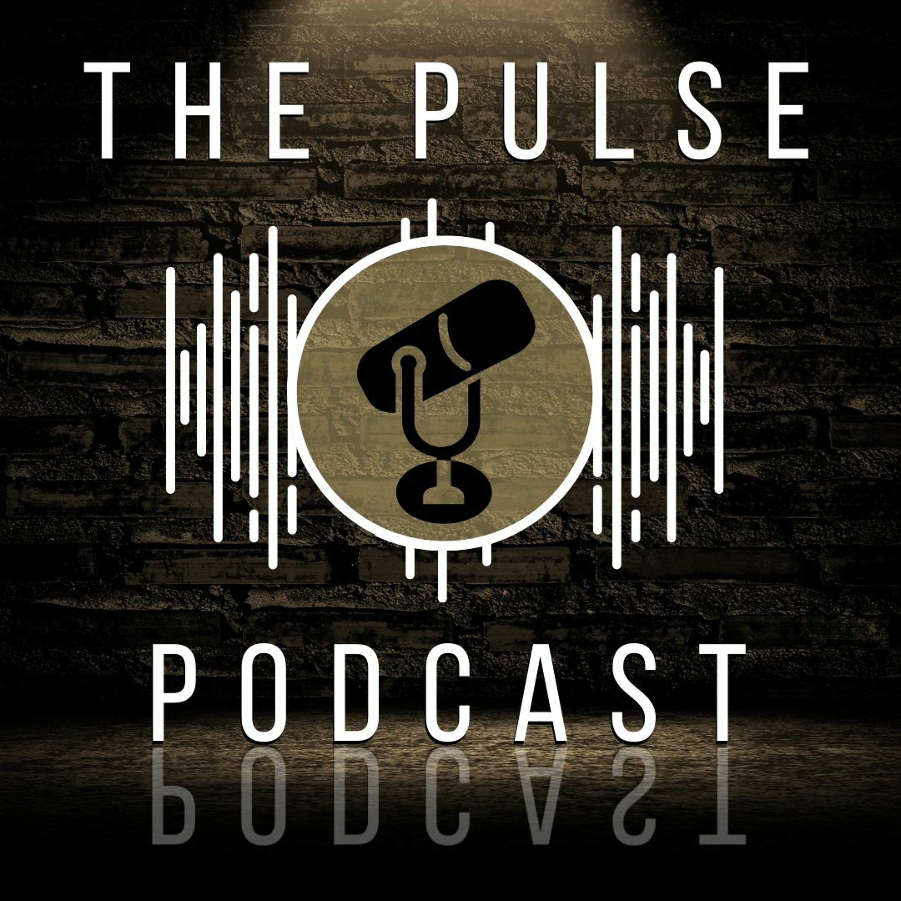 The BAHSPulse Podcast | Ep2 | 11-14-22 episode artwork
