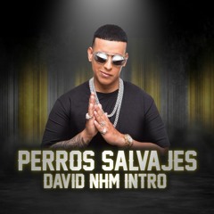 Daddy Yankee - Perros Salvajes (David NHM Intro)