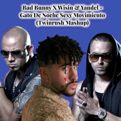 Bad Bunny X Wisin & Wandel - Gato De Noche Sexy Movimiento (Twinrush Mashup)