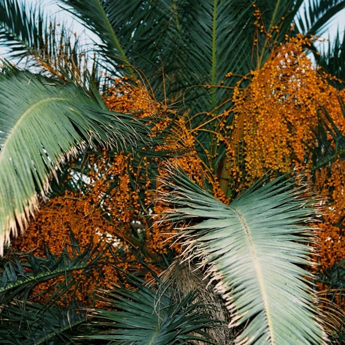 Guest Mix By Hoavi & Mish w/ Feloneezy - 1 September 2021