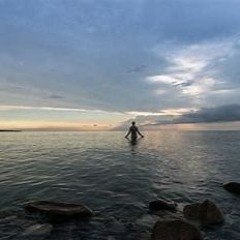 Symphony Of Silence by Zoways