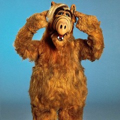 The Miseducation Of Warren Bill