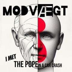 I Met The Pope in a Car Crash (feat. Nils)