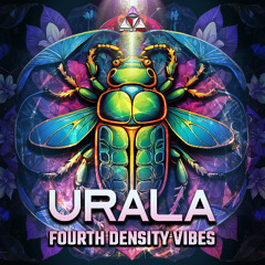 The Ayahuasca Experience