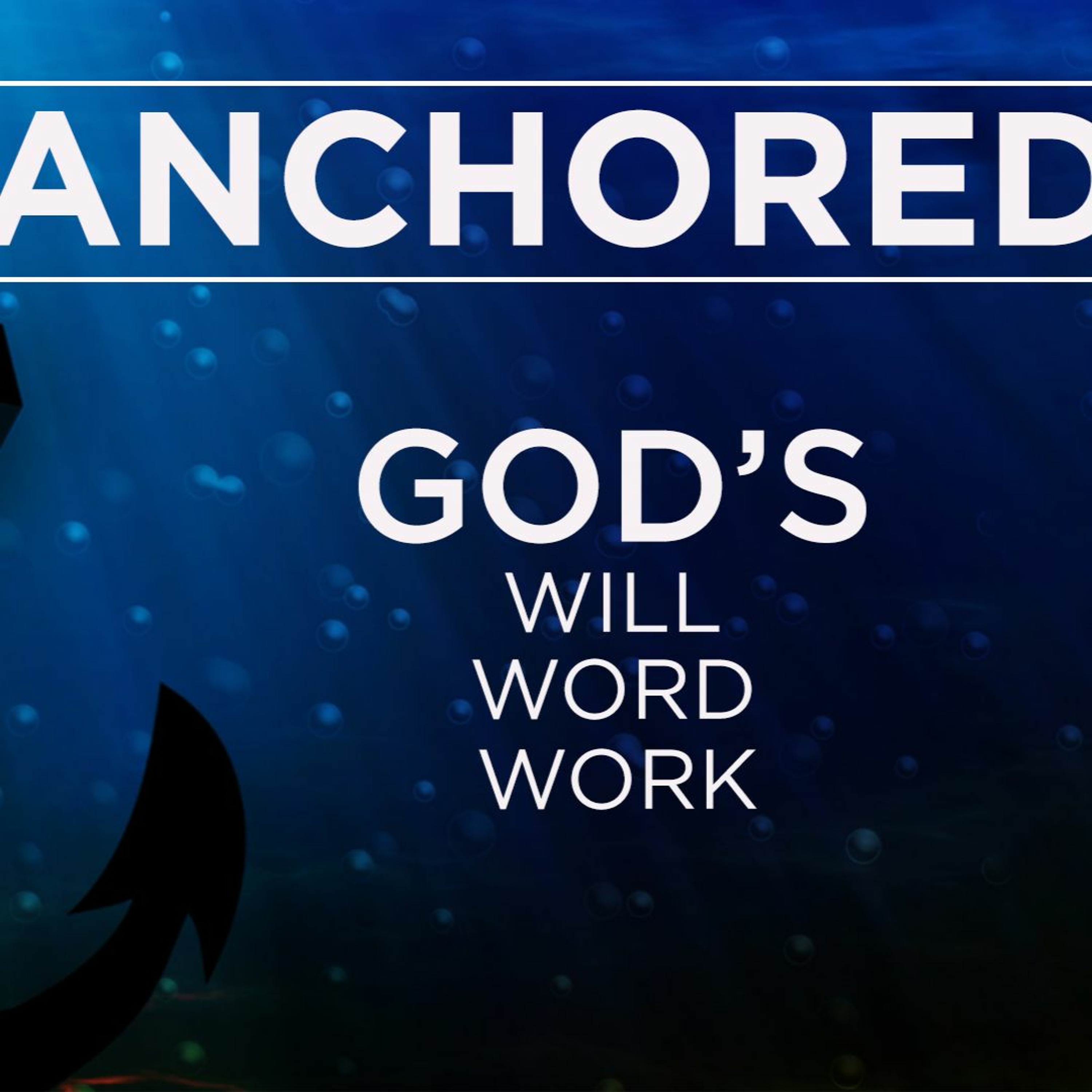 Leading Lights Network