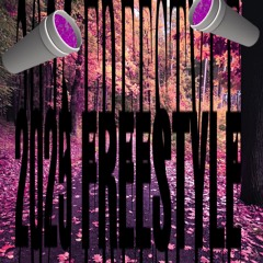 2025 FreeStyle (prod.PreshBoySwag)