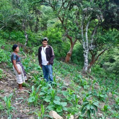 Our Man in Guatamala: Nathan Einbinder on his recent latest agroecology research trip