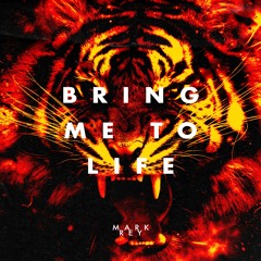 Mark Rey - Bring Me To Life [Groove Soldiers Recs]