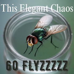 60 FLYZZZZZ- This Elegant Chaos