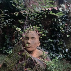 Druidcraft001