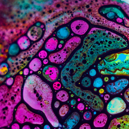 Monastory - Scott Moon