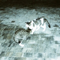 I LOVE YOU (western kite cover)