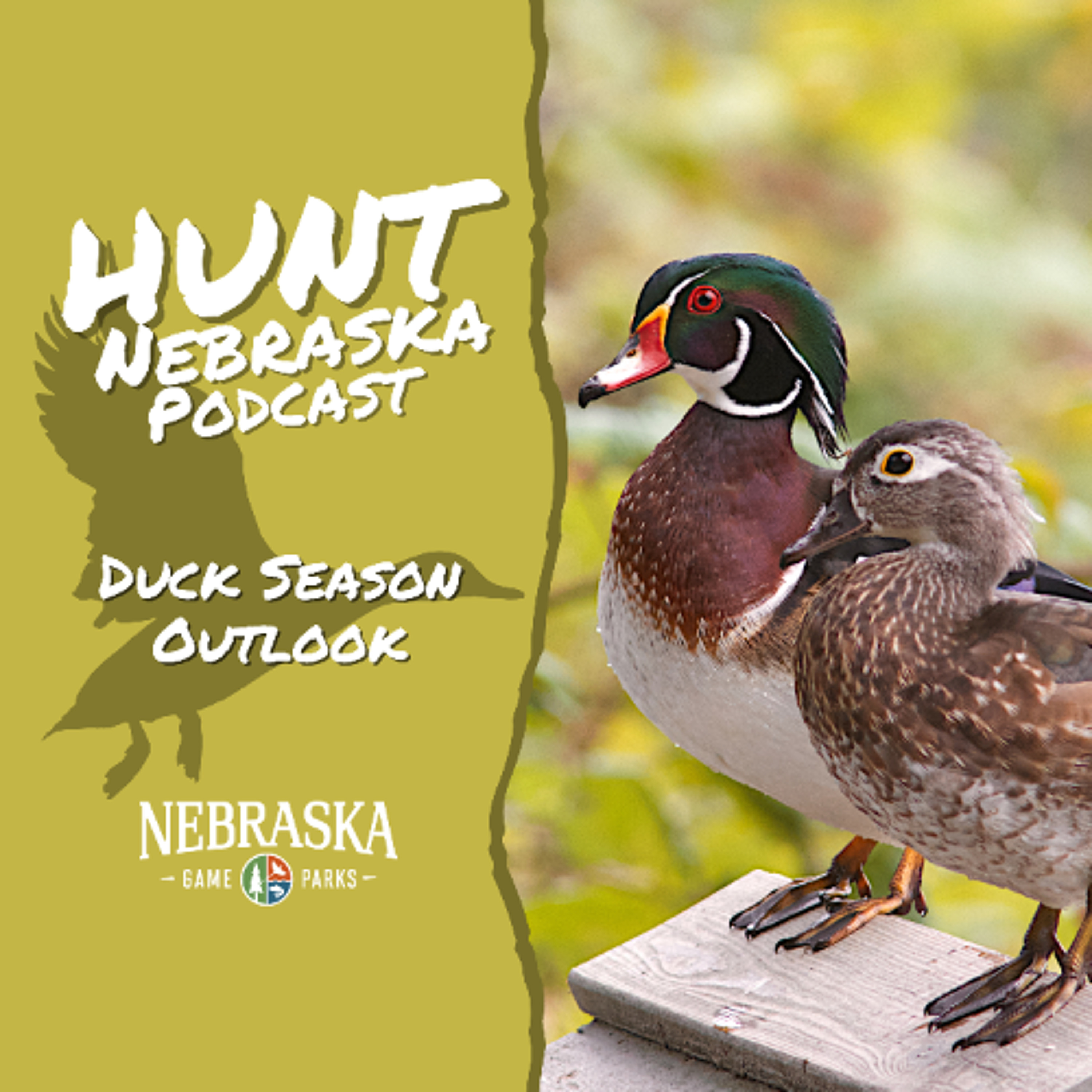 Duck Season Outlook